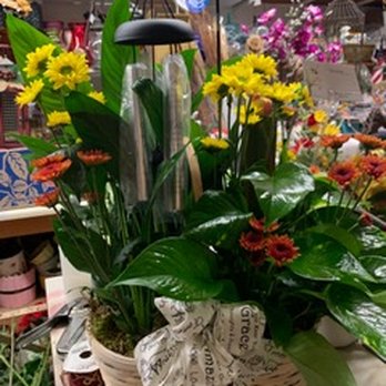 Blossom Junction - Florists Near Me - Branchland, West Virginia Blossom Junction - Florists Near Me - Branchland, West Virginia
