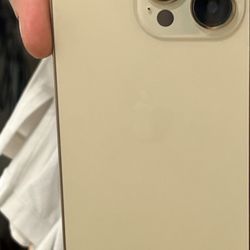 The Buzz - Fixed by The Buzz