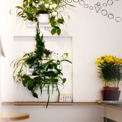 Henrys - Henrys' vertikaler Garten