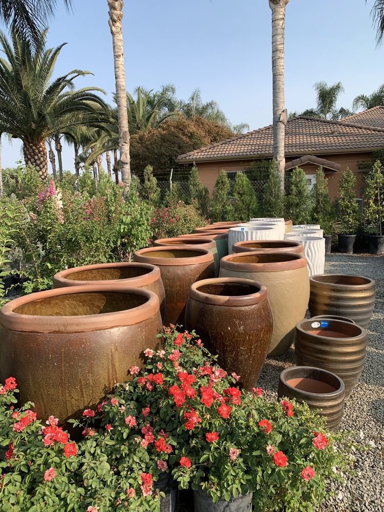 LEO’S NURSERY Updated September 2024 53 Photos & 33 Reviews 31804