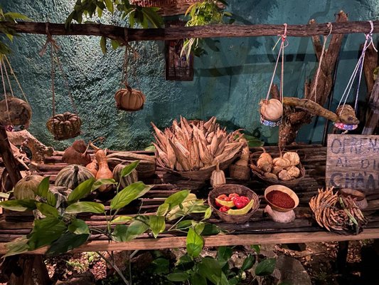 IX CAT IK Tradicional Cocina Maya by null