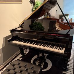 Dave's Piano Showroom