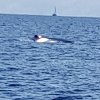 Makani Catamaran - Boating Near Me - Honolulu, Hawaii