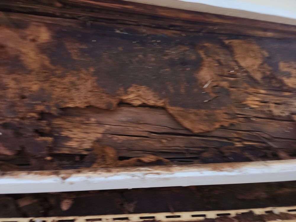 Slide of Salazar Construction