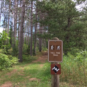 Moose Lake State Park - Speaks for itself. - Parks Near Me - Moose Lake, Minnesota Moose Lake State Park - Speaks for itself. - Parks Near Me - Moose Lake, Minnesota