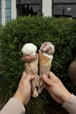 Arcata Scoop by null