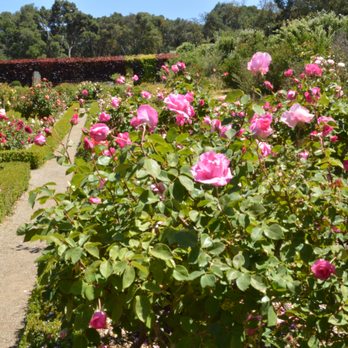 Filoli - Botanical Gardens Near Me - Woodside, California Filoli - Botanical Gardens Near Me - Woodside, California