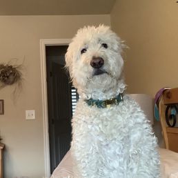 Miss. Annie