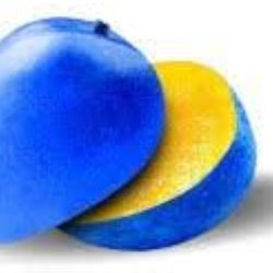 Blue Mango