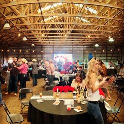 Sky View Farm - The casino tables were full, faces happy, hearts glad and all for good causes to raise awareness on mental health and animal rescue.