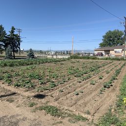On site growing! On site growing!