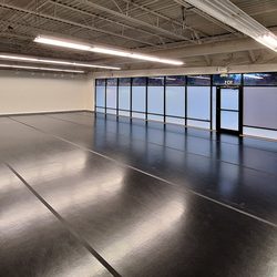 Ensemble Ballet Theatre - Studio A - sprung floor, A/C, full mirror-wall