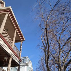 Best Way Tree Service