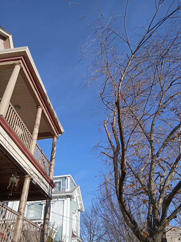 Best Way Tree Service - tree service in Pawtucket, RI