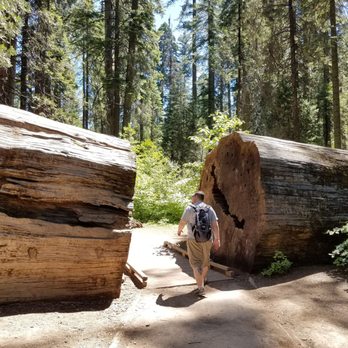 Calaveras Big Trees State Park - Parks Near Me - Arnold, California Calaveras Big Trees State Park - Parks Near Me - Arnold, California
