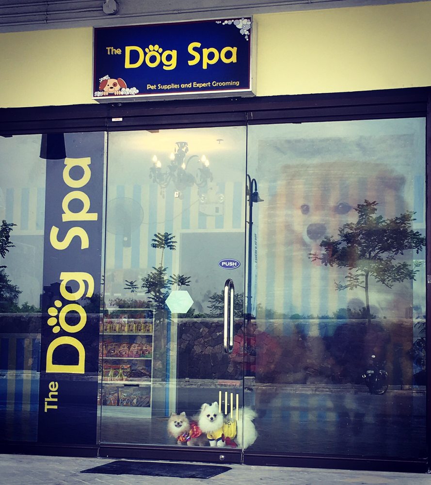 THE DOG SPA & HOTEL Updated July 2024 G/F, 187 Village Center E