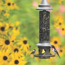 Wild Birds Unlimited - Best squirrel proof feeder in town!
