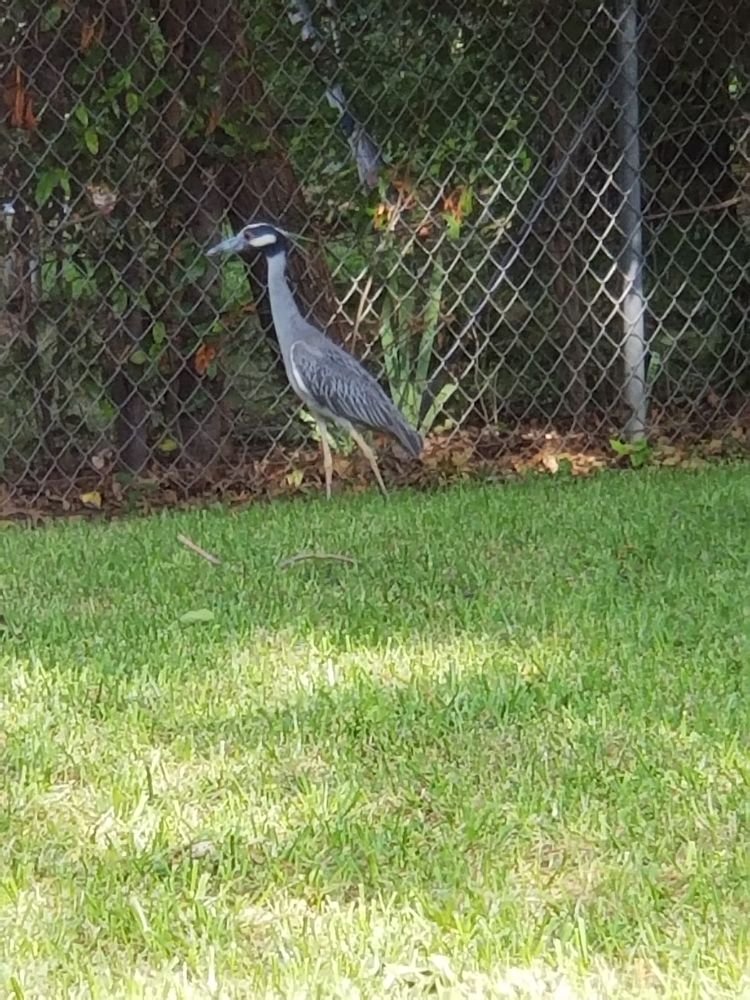 Slide of Cowtown Roofing