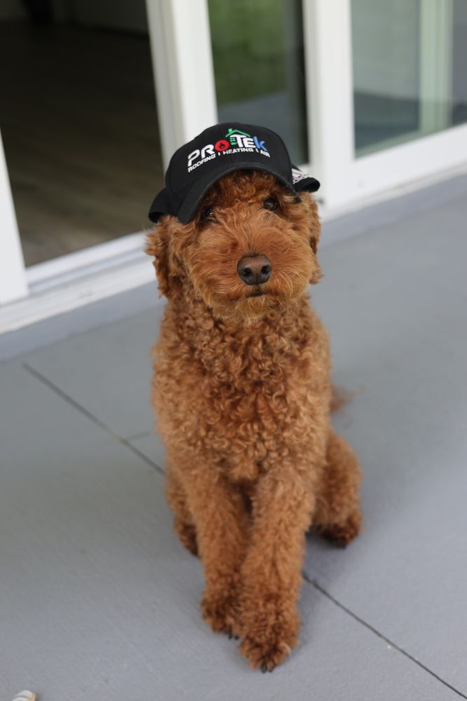 Slide of Protek Roofing, Heating, Air & Solar