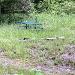 Experience Montana Cabins - The picnic table and fire pit were overgrown with weeds. It would have been a fire hazard to use it.