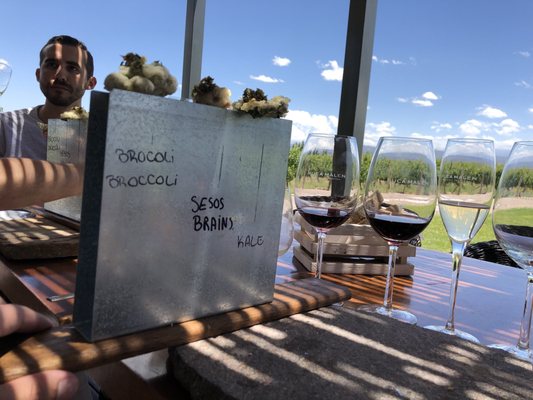 Bodega Ruca Malen by null