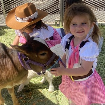 Giddy Up Ranch - Horseback Riding Near Me - Phelan, California
