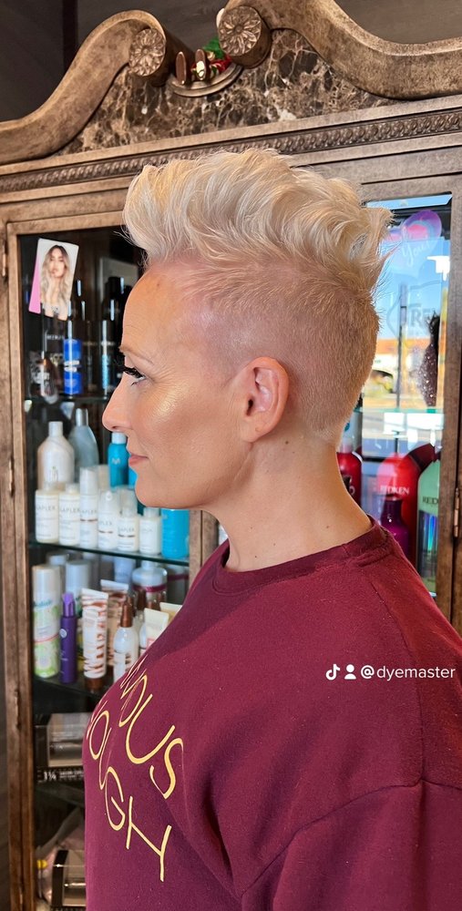 Trendz Hair Salon Logo