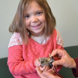Practical Health Solutions - Meet Timothy, the office mouse.