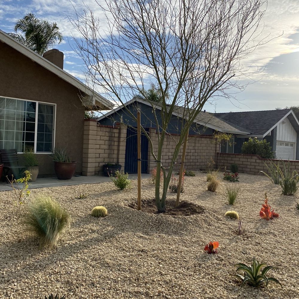 Drought tolerant garden Drought tolerant garden