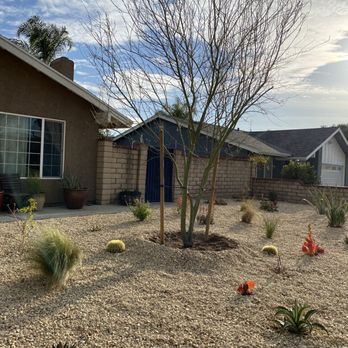 Luis’s Tree Service - Drought tolerant garden - Tree Services Near Me Luis’s Tree Service - Drought tolerant garden - Tree Services Near Me