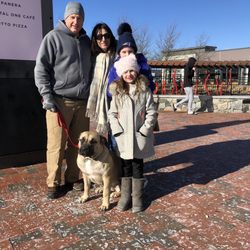 Chris Park K9 Dog Training