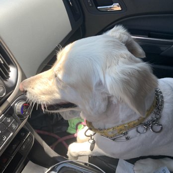 Petco - She doesn't deserve this - Pet Stores Near Me - Tustin, California Petco - She doesn't deserve this - Pet Stores Near Me - Tustin, California