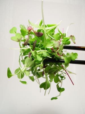 Blue Moon Acres Buckingham, PA by null