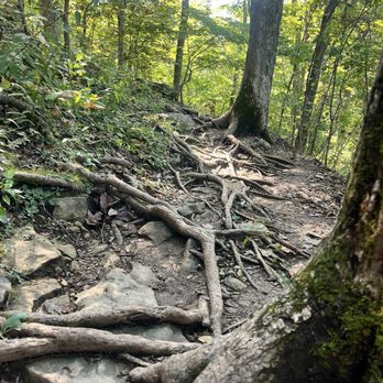 Clifty Falls State Park - Good idea to have walking stick - Climbing Near Me - Madison, Indiana