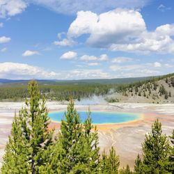 Yellowstone National Park - WEST Entrance