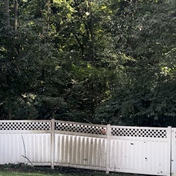 LC Tree Service - Tree gone - Tree Services Near Me - Hagerstown, Maryland LC Tree Service - Tree gone - Tree Services Near Me - Hagerstown, Maryland
