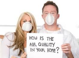 Mold Inspections And Assessments - mold inspector in Gainesville, FL