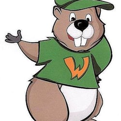 Woodchuck Custom Cabinets