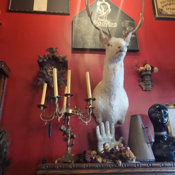The Mystic Museum - Oh deer. - Art Galleries Near Me - Burbank, California The Mystic Museum - Oh deer. - Art Galleries Near Me - Burbank, California