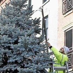 D & R Lawn & Landscaping - Holiday decorating
