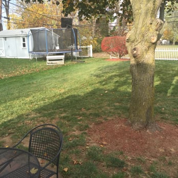 R and J Property Maintenance - Fall and Spring Cleanup: Believe it or not this was mulched, not raked or swept. Promotes a healthy soil! - Landscaping Near Me