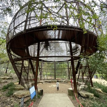 Pease Park - Parks Near Me - Austin, Texas Pease Park - Parks Near Me - Austin, Texas