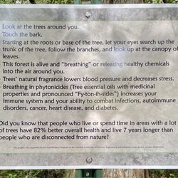 Mobile Japanese Garden - Japanese natural Forest Therapy!