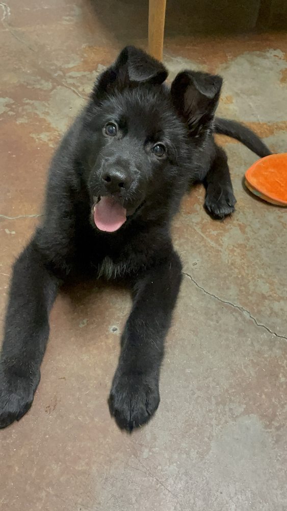 Dade City Animal Clinic Image