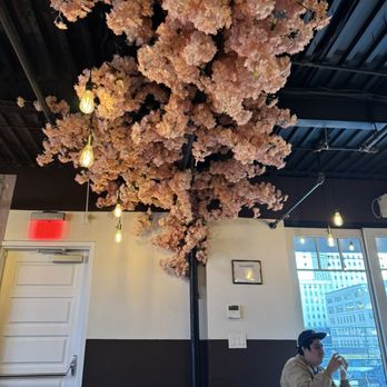 Sky Blossom - Interior - Vietnamese Near Me - Dallas, Texas Sky Blossom - Interior - Vietnamese Near Me - Dallas, Texas