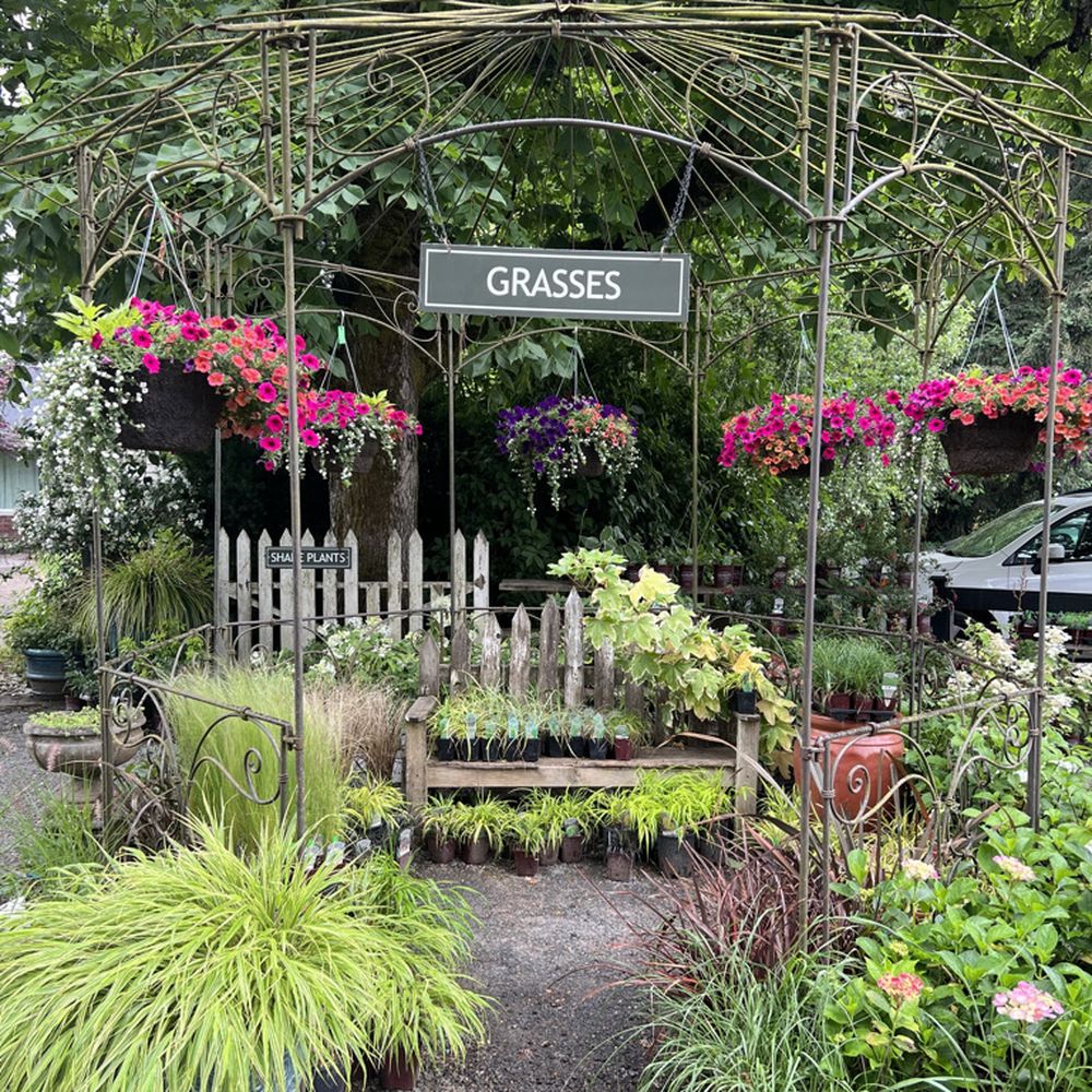 Smith Berry Barn - Nurseries & Gardening Near Me - Hillsboro, Oregon Smith Berry Barn - Nurseries & Gardening Near Me - Hillsboro, Oregon
