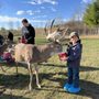 Photo of Rustic Retreat Deer Park