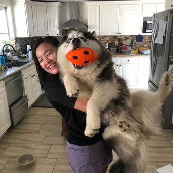 Venturing Pack Dog Services - Pet Training Near Me Venturing Pack Dog Services - Pet Training Near Me