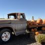 Del Bosque Farms