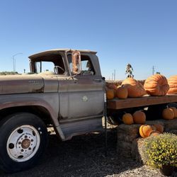 Del Bosque Farms - Who's driving this load of pumpkins?